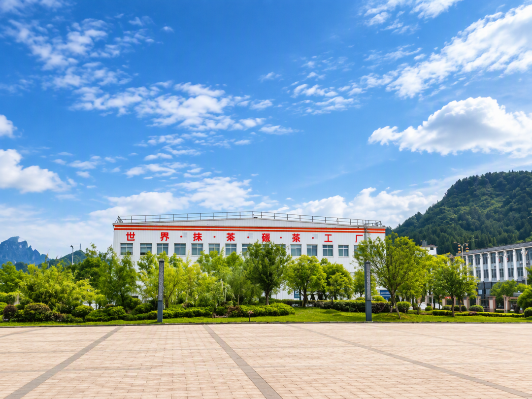 70款抹茶新品集中上架,产地标九成写径山:这个秋冬点抹茶,先看这三样