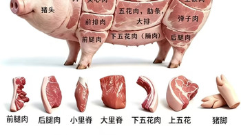 菜市场买肉指南｜不同猪肉部位适合怎么做