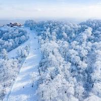 高铁4小时住进长白山雪场隔壁：威斯汀开板前值得冲吗