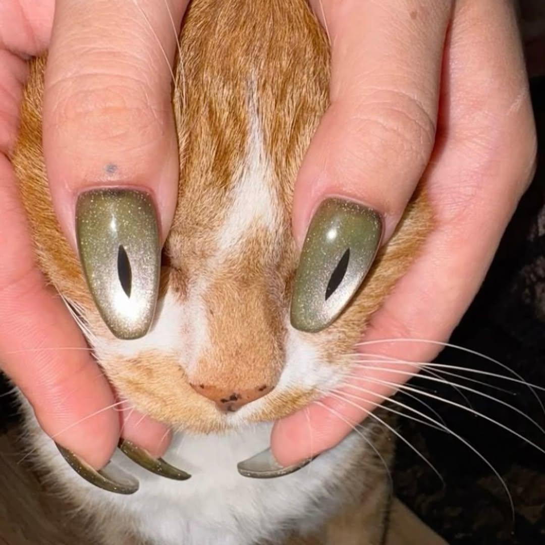 猫眼美甲的光来自磁粉，磁共振也怕它：下单猫眼胶前先看这3处