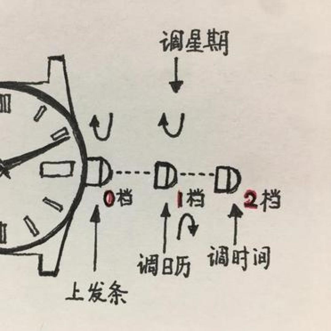 机械表放两天就停走|不一定是坏了,先核对表冠这三件事