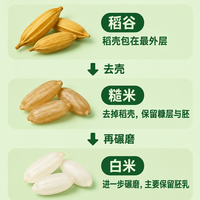糙米变白米,磨掉的真是稻壳吗?