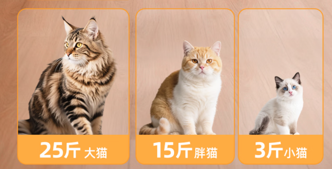 买完三个月，她按三分之一原价挂闲鱼：双11入自动猫砂盆前，先算清这三笔账