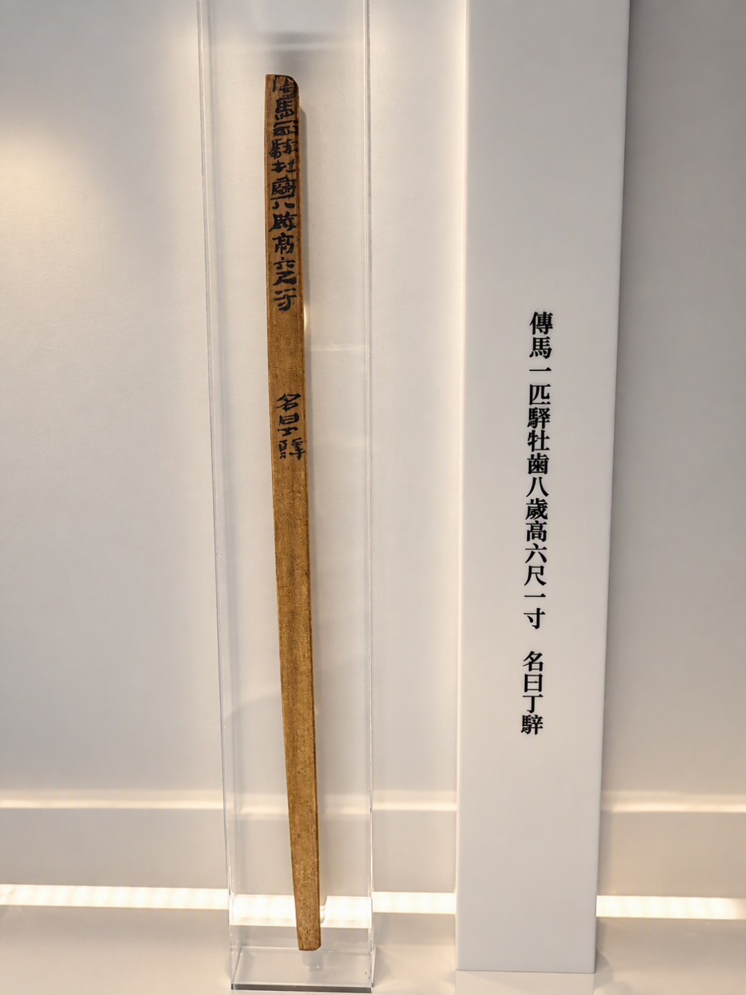 服务区背面藏着一处世界遗产：同场只有10个人、80元门票换3.5万枚汉简——去敦煌以东前，先把价签、车位、预期三本账对完