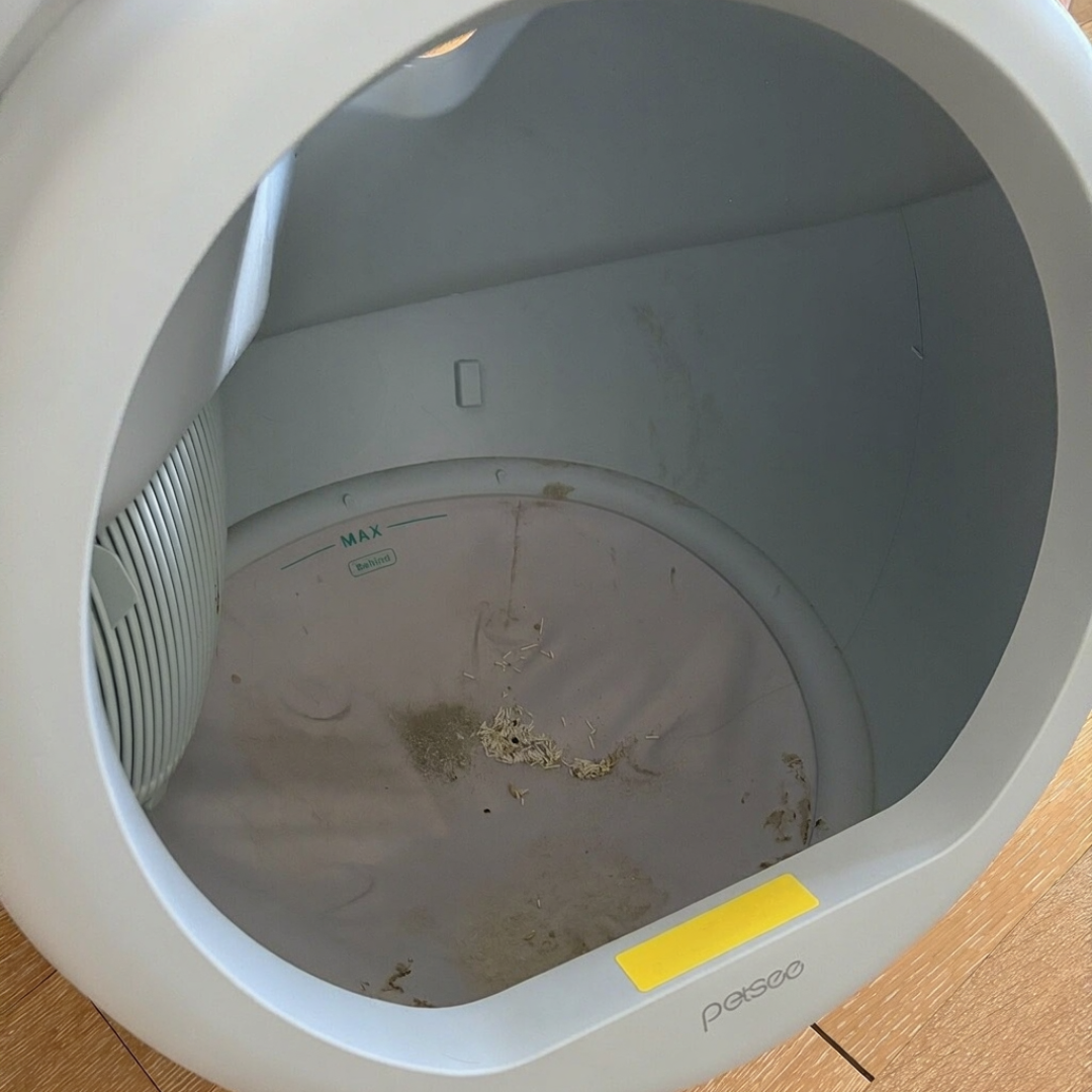 一边融钱一边出咸鱼：智能养宠这轮