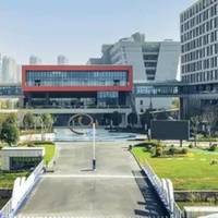 黄羽鸡价格回暖立华股份扭亏，但生猪业务仍在“拖后腿”
