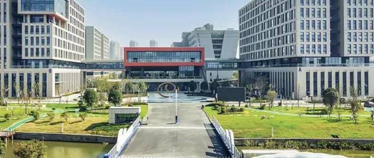 黄羽鸡价格回暖立华股份扭亏，但生猪业务仍在“拖后腿”