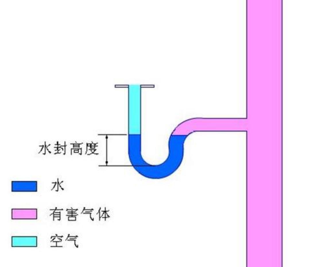 卫生间怎么打扫都臭?味道是漏进来的:蹲下闻4处,一杯水多半能救