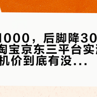 前脚涨1000，后脚降3000：拼多多淘宝京东三平台实测，双11的手机价到底有没有水分？