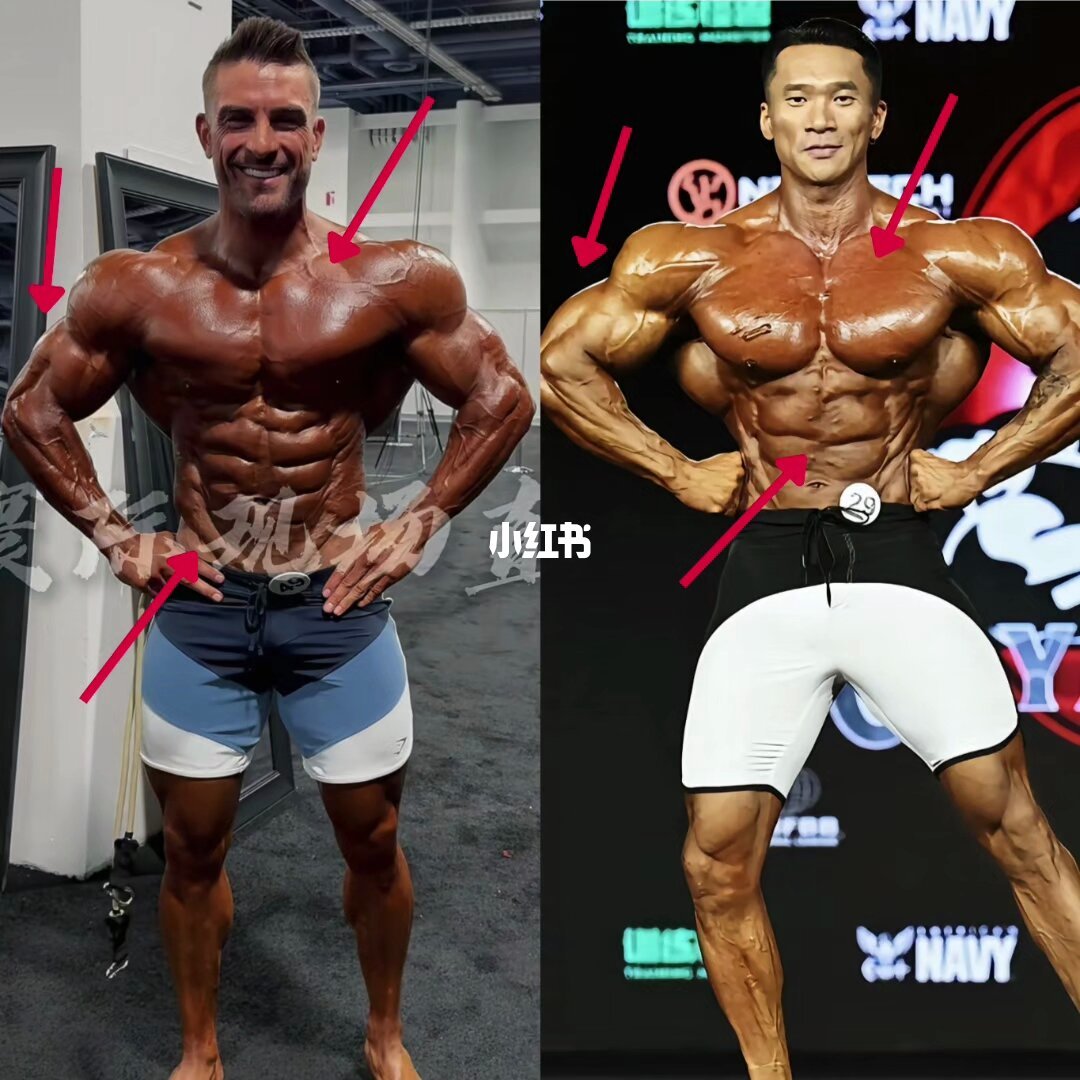 李金波2026奥赛健体三轮半C位复盘（图源：小红书笔记配图）