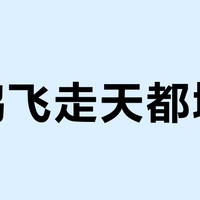 鹦鹉飞走天都塌了？先别追——鸟大概率就在附近躲着不敢出声