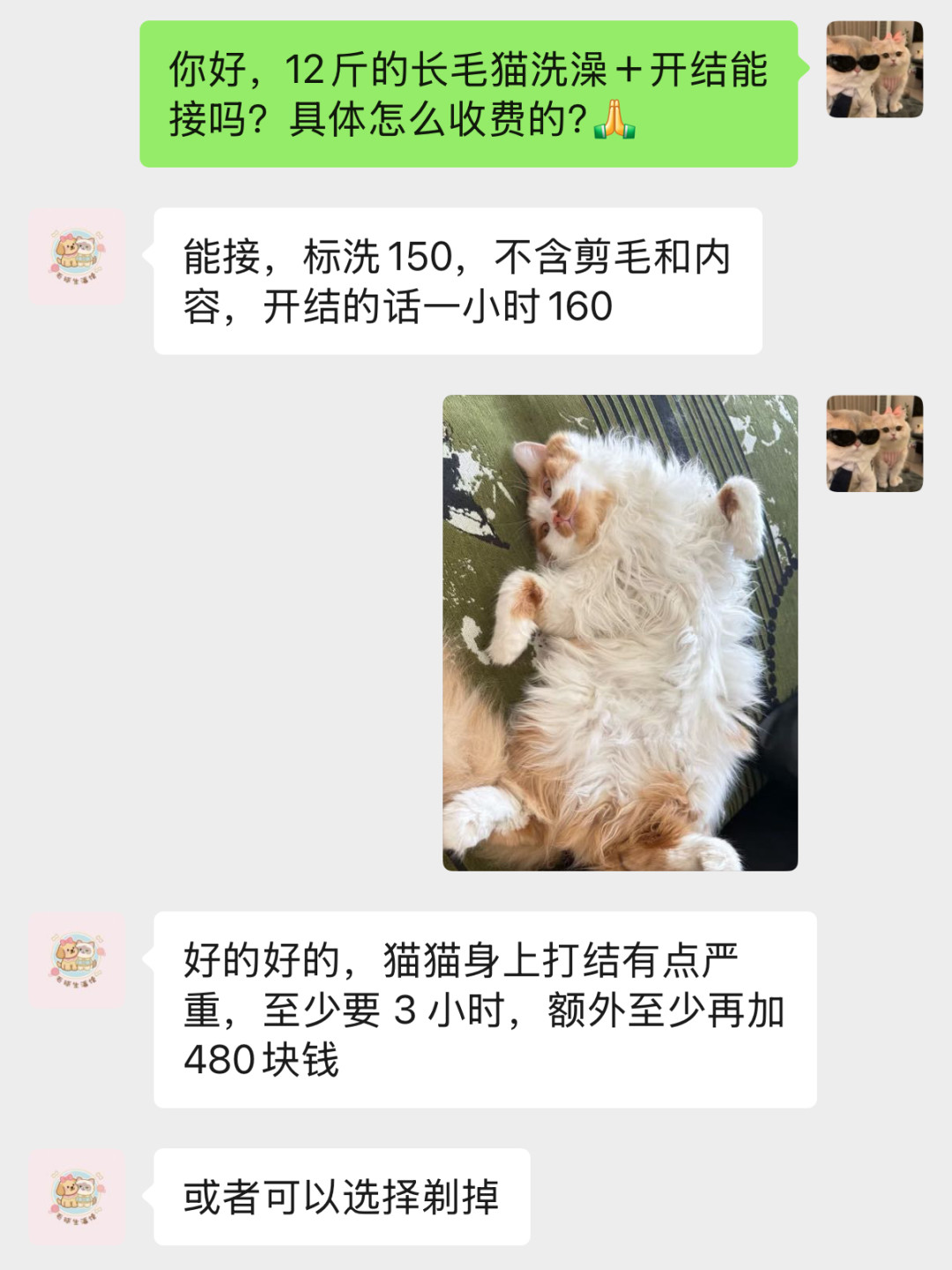 带猫开结160元/小时，店家却嫌累劝你剃掉：这单秋冬猫美容的账，我帮你算清了