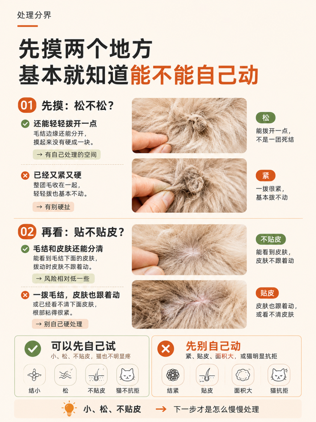 带猫开结160元/小时，店家却嫌累劝你剃掉：这单秋冬猫美容的账，我帮你算清了