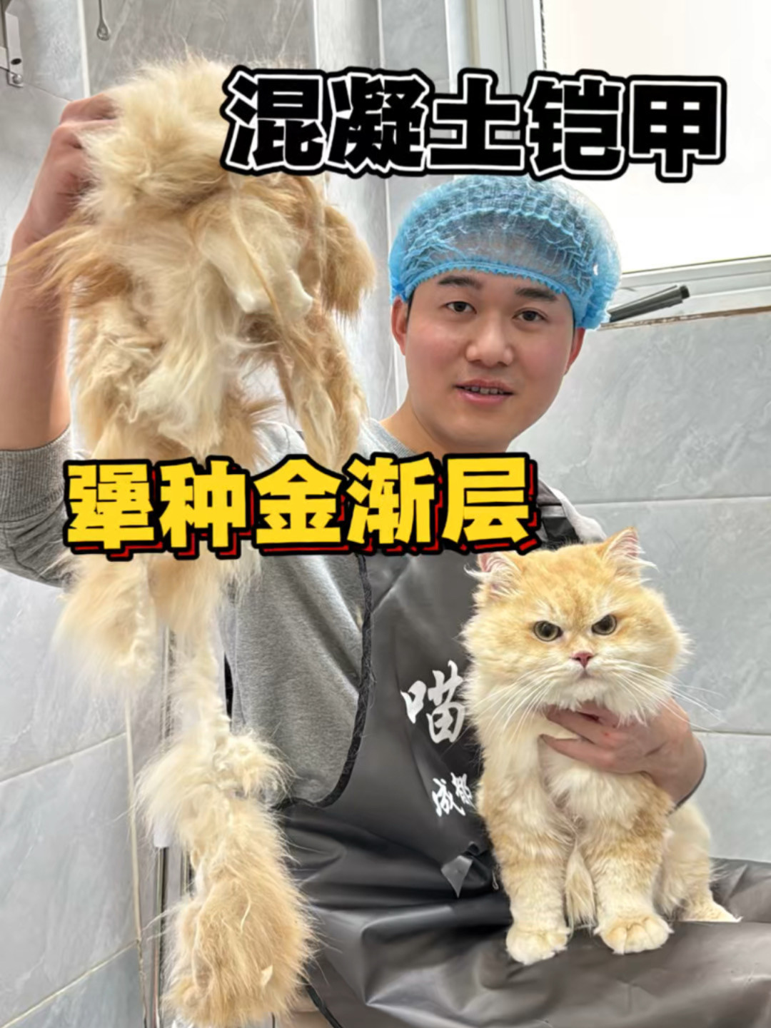 带猫开结160元/小时，店家却嫌累劝你剃掉：这单秋冬猫美容的账，我帮你算清了