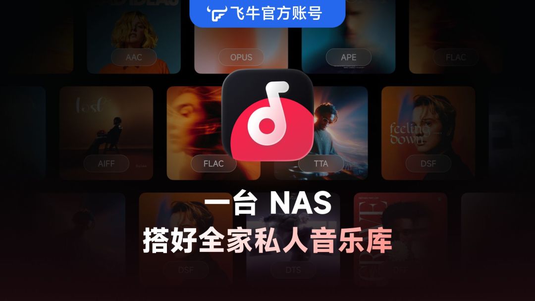 歌单灰了别急着充第二个会员:2026年NAS音乐库选型,我把飞牛、极空间和开源全家桶盘了一遍
