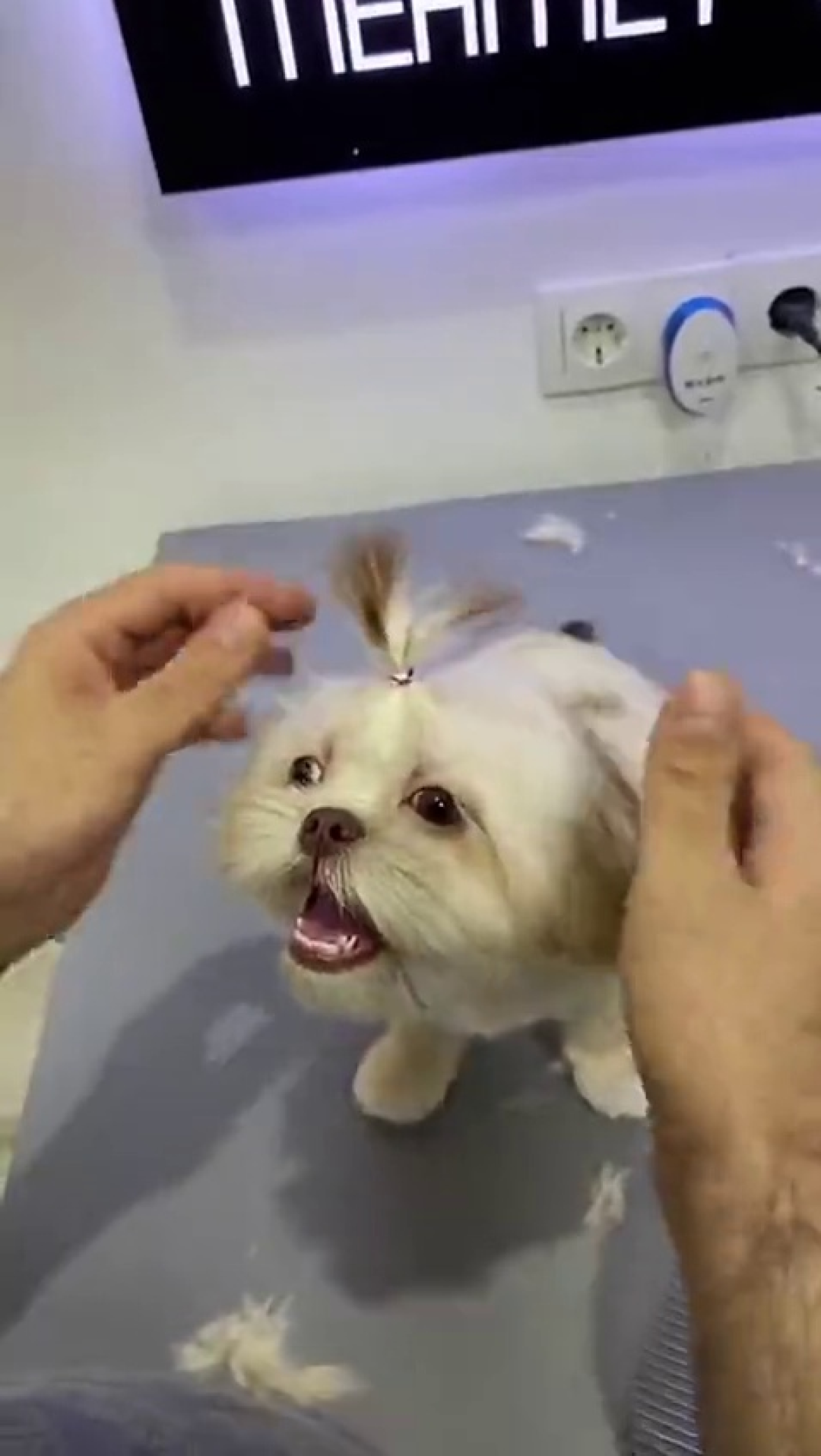 美容卡充值还没用完,连锁店里先传出
