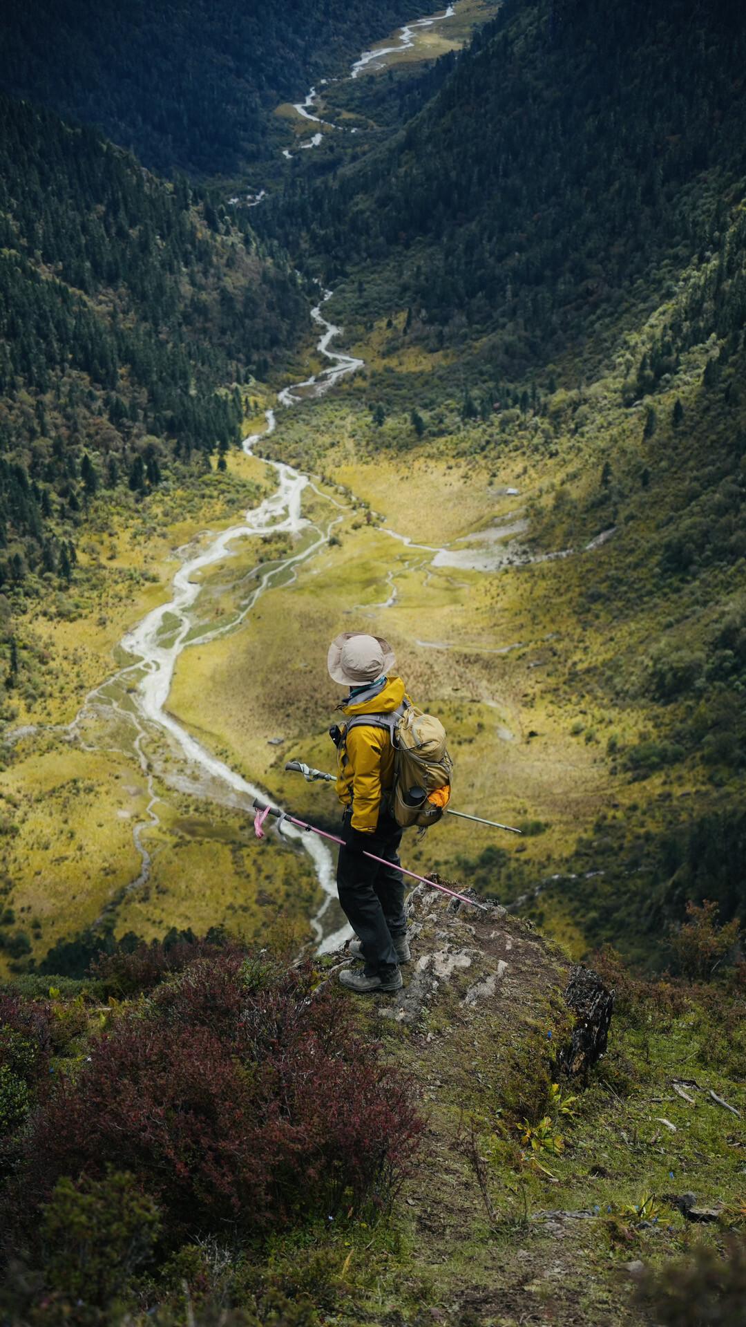 血氧53%:马帮2000元能驮他下山,他们上网搜的是