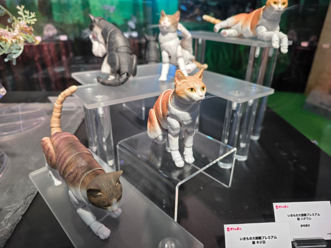 400块的扭蛋猫炸了，评论区：这钱不如买只真猫，值吗？