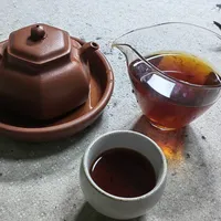 茶商都在喊"蘑菇沱"的十月：一枚比碗状沱更老的边销紧茶——五个名字、两套来历、生熟各一张嘴，先摆开