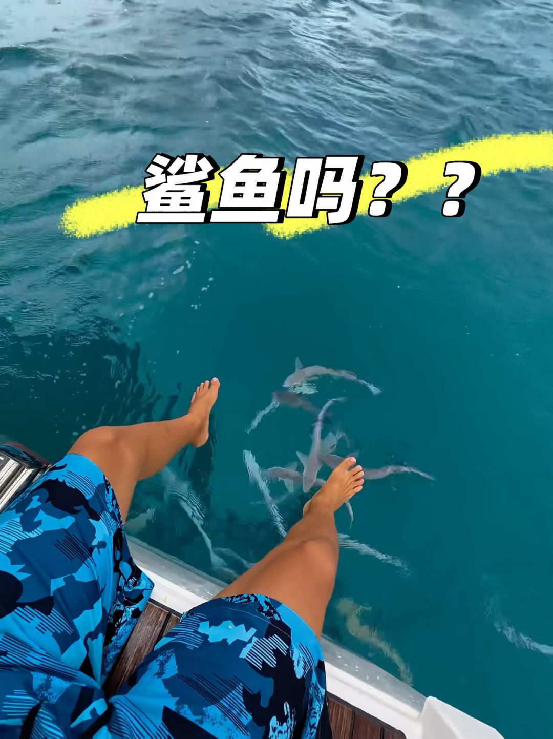 62节阵风、31天没合眼、顶风航行:2026年横渡太平洋的中国船,先挑风向再挑船期