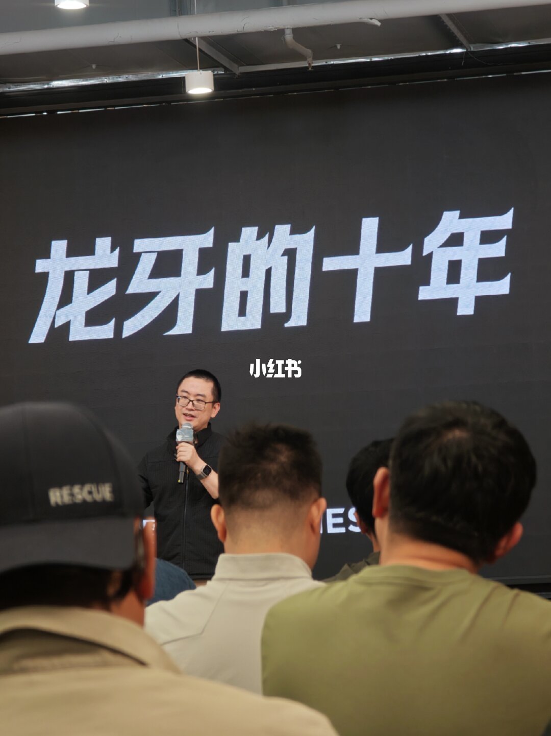 龙牙的一分为二:18亿营收报告与“买三件两件有问题”的评论区,双11按三档价格线开抢