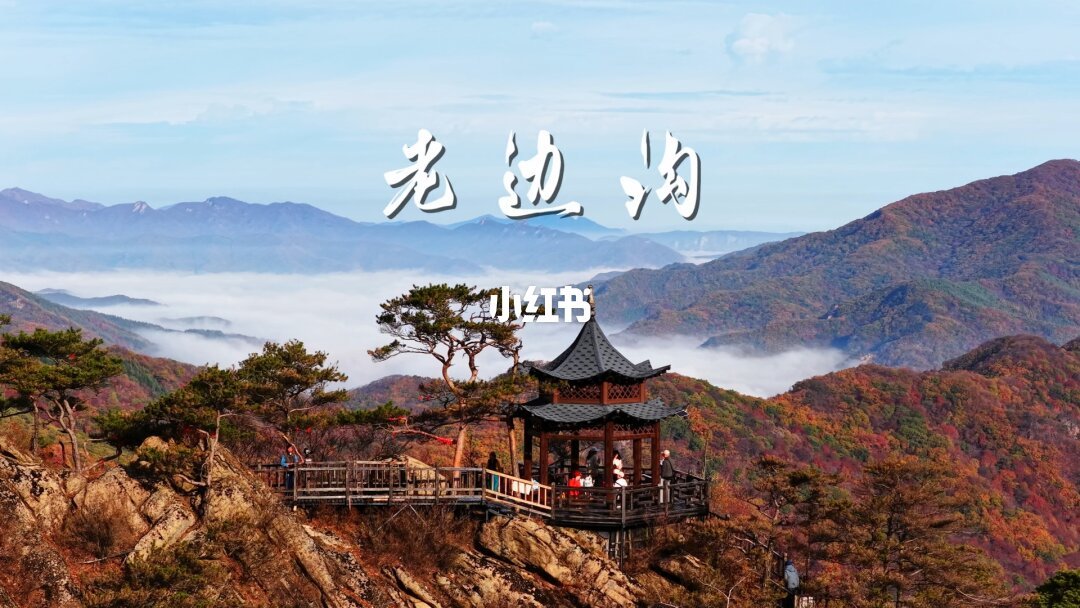 秋色锋面已越过秦岭:航拍追秋作战图,拍摄窗口11月中旬一个个关闭