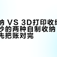 邪修收纳 VS 3D打印收纳：全网都在抄的两种自制收纳，双11下单前先把账对完
