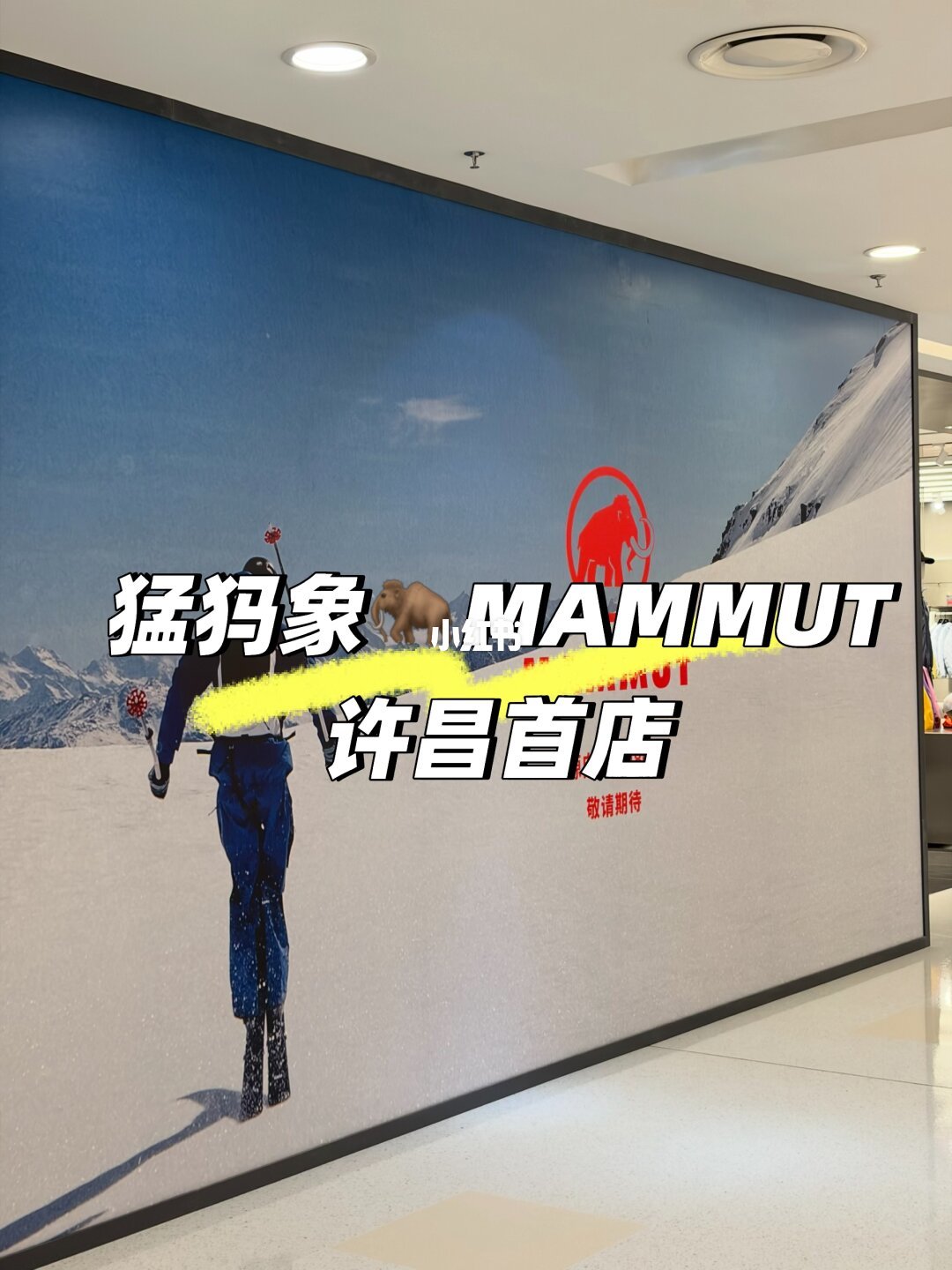 奥莱店内的猛犸象陈列现场图
