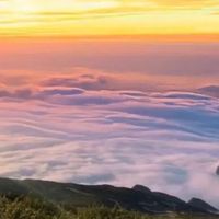 我给每款益生菌都留了观察期：产品什么时候更容易看出差别