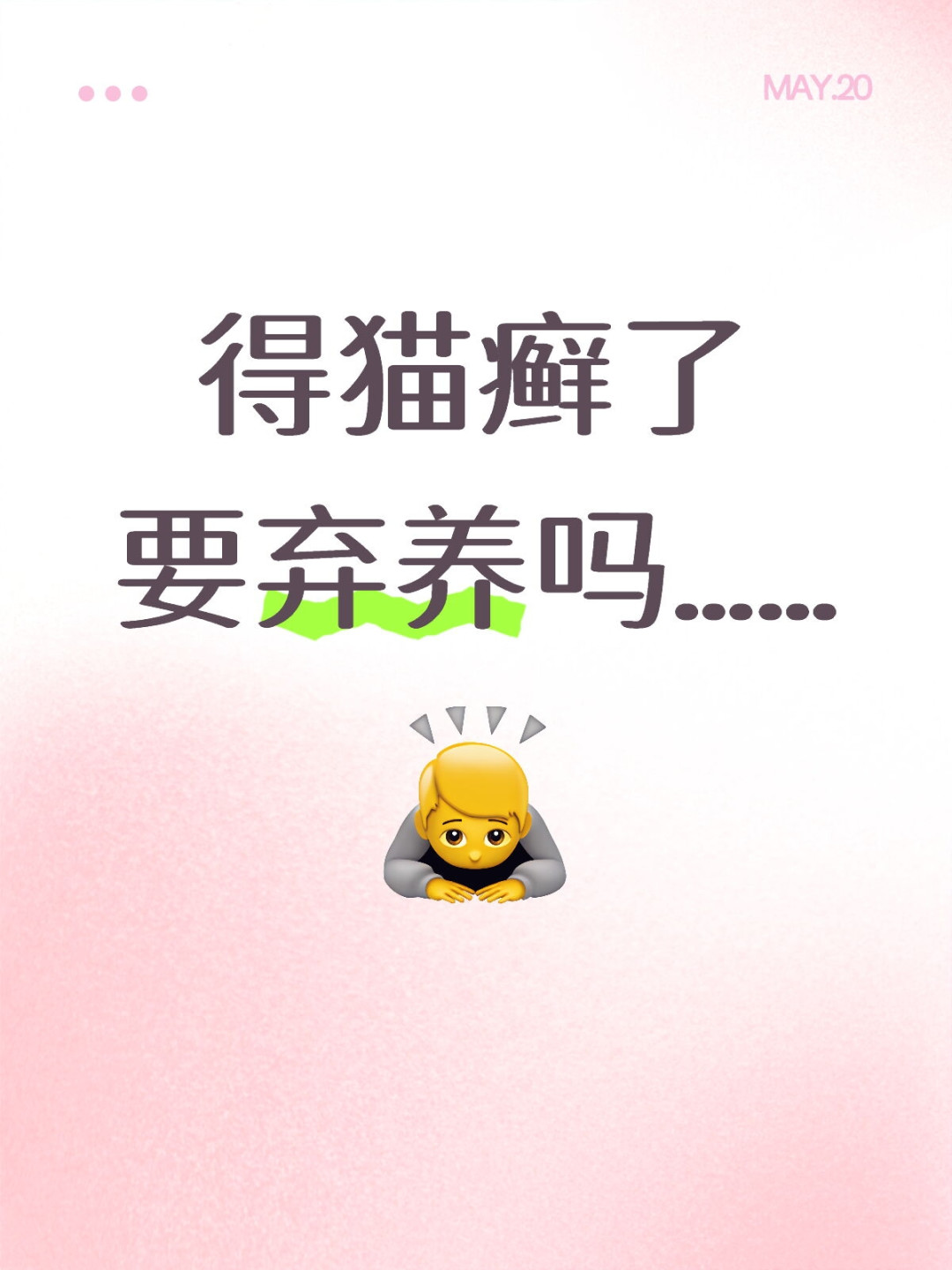 示意图：得猫癣了，要不要弃养？