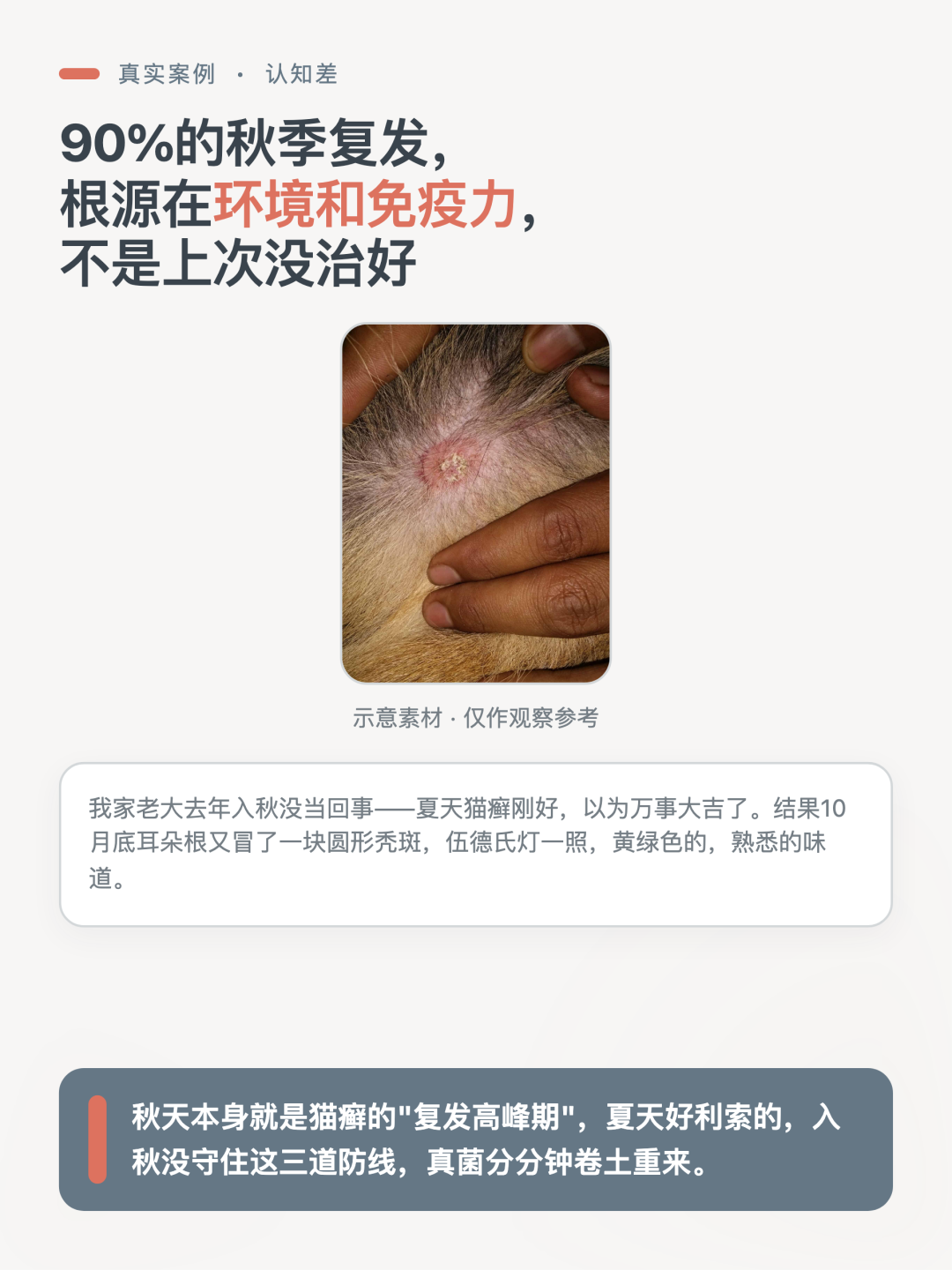 示意图：入秋后猫癣复发与典型圆形脱毛斑
