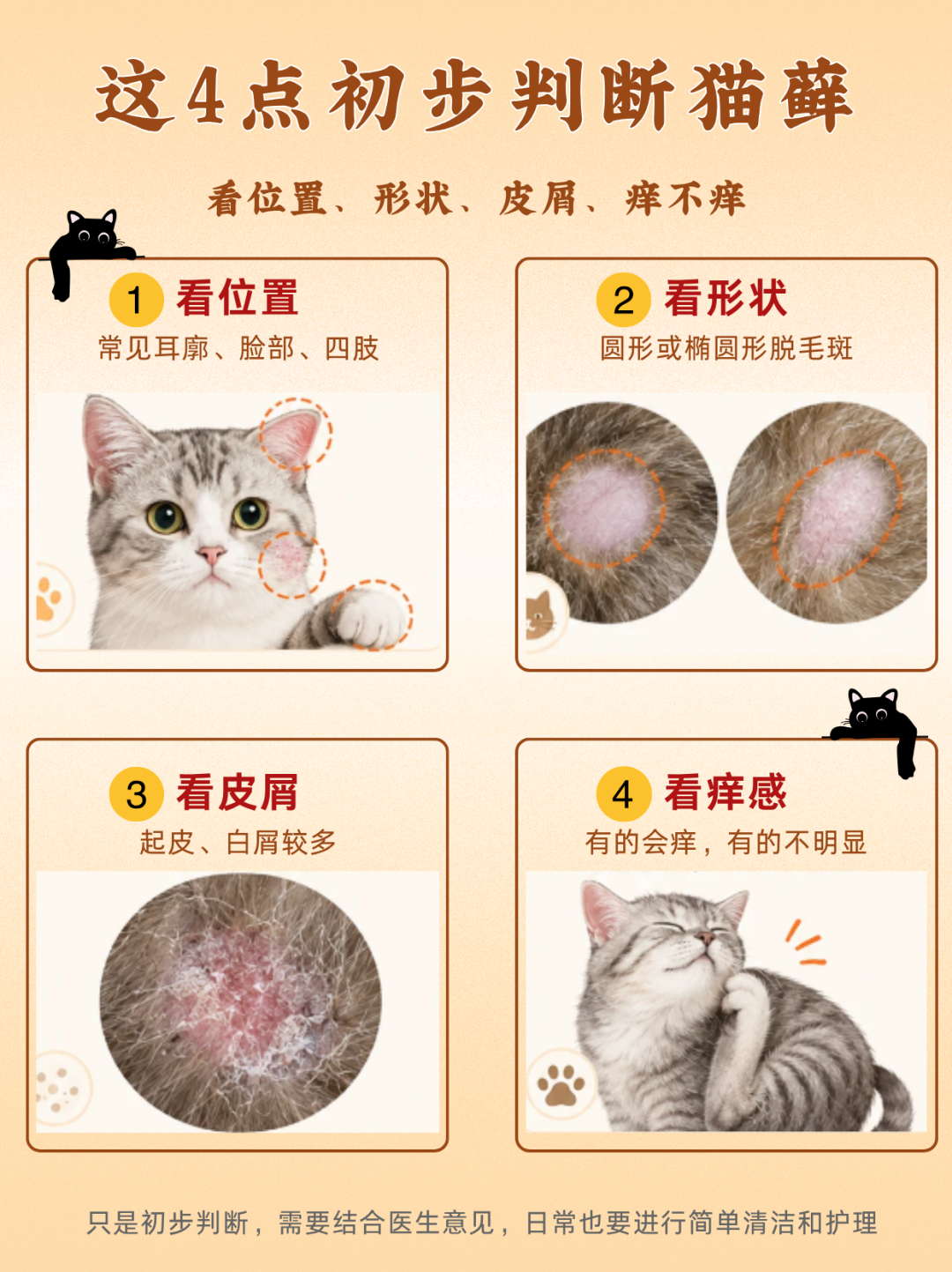 示意图：初步判断猫藓的4个观察点