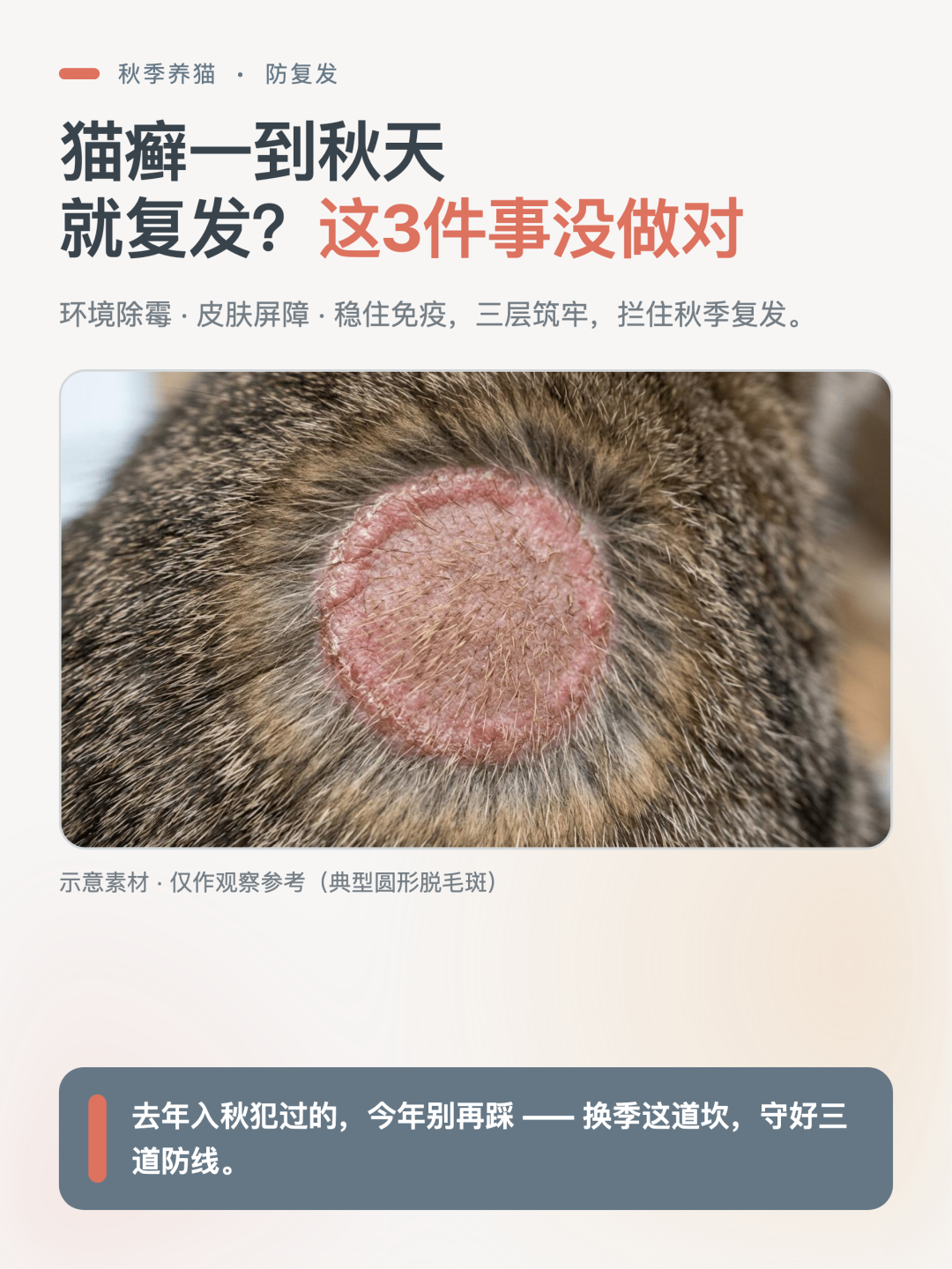 示意图：6种常见猫藓症状表现对照