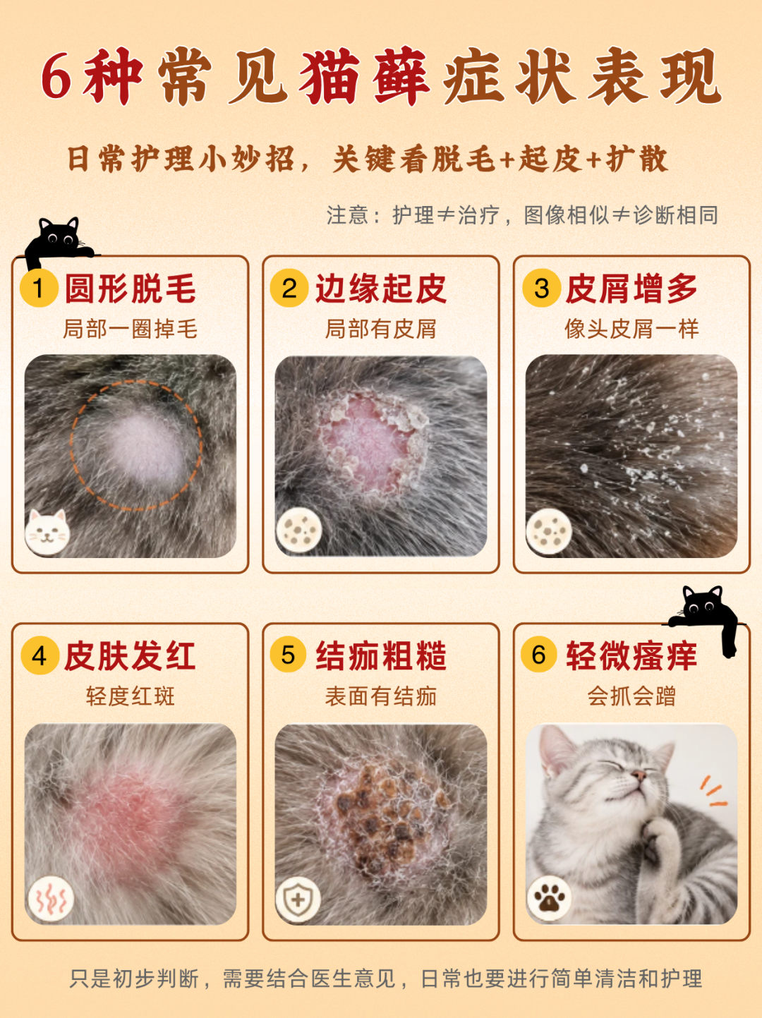 示意图：秋季复发的根源在环境、屏障与免疫，而非上次没治好