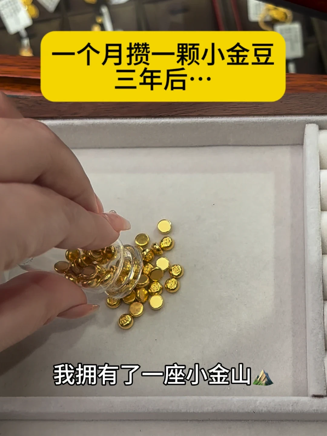 攒金人的小金罐