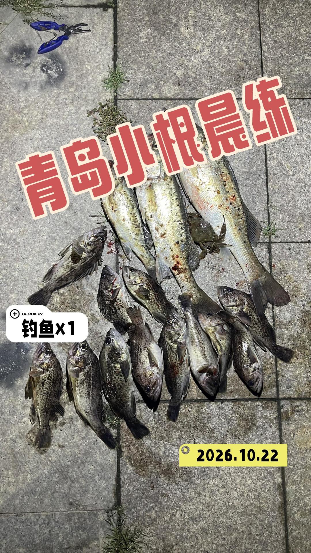 台风“蔷琵”撞上冷空气:这周路亚是爆口还是空军,看你出钓在降温第几天
