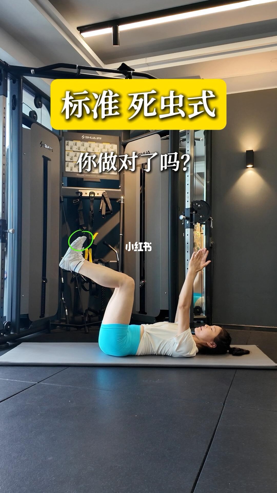 死虫式标准动作细节讲解