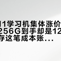临到双11学习机集体涨价，有家长下单256G到手却是128G：先把内存这笔成本账看明白，再决定掏不掏钱