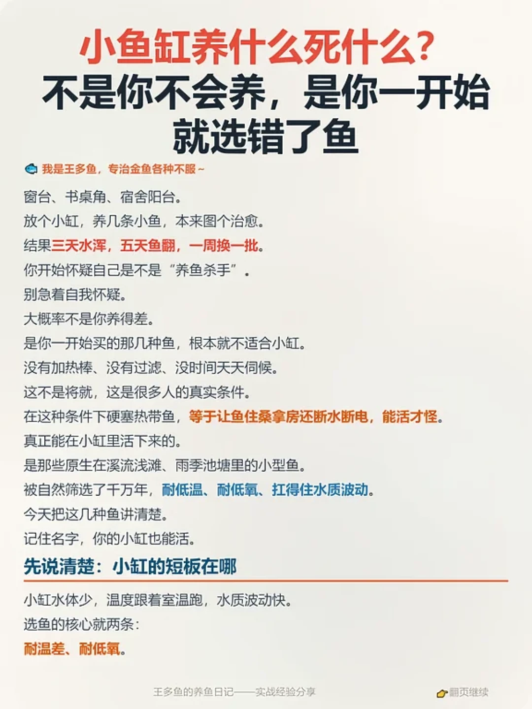 小鱼缸新手选鱼参考