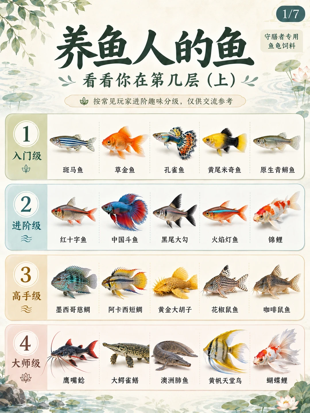 养鱼人的鱼，看看你在第几层