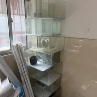 “不换水”生态缸进入翻车验证期：鱼多半不是被脏水害死的，是被三笔看不见的透明账压死的