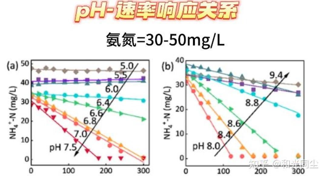 “不换水”生态缸进入翻车验证期：鱼多半不是被脏水害死的，是被三笔看不见的透明账压死的