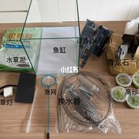 “不换水”的生态缸为啥都翻车？草缸第一课，藻汤替你上了