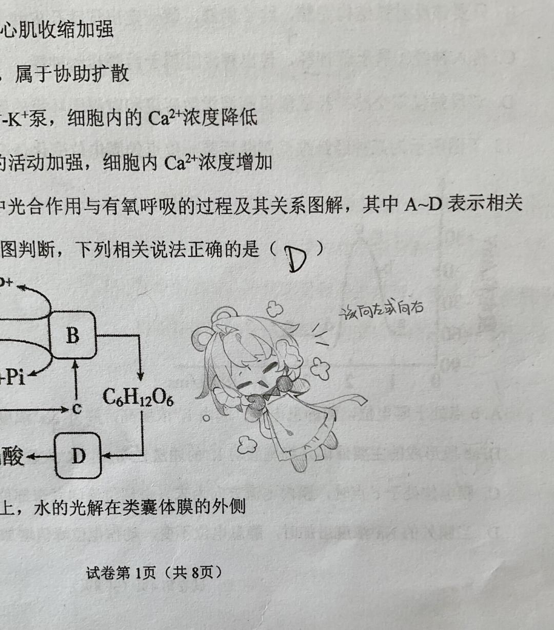 《花骨朵》520万播放、翻唱仍在井喷：洛天依这个秋天真的爆了