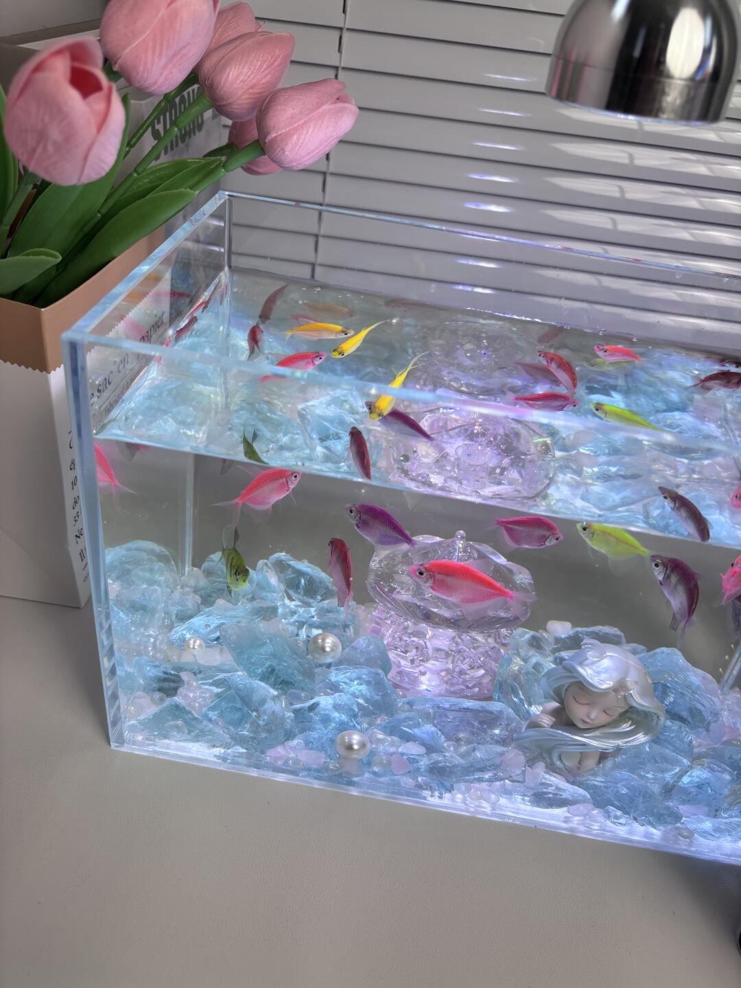 双11水族圈满屏