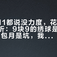 这个双11都说没力度，花苗却在真打对折：9块9的绣球是真香，99块的包月是坑，我把昆明花拍行情翻给你看