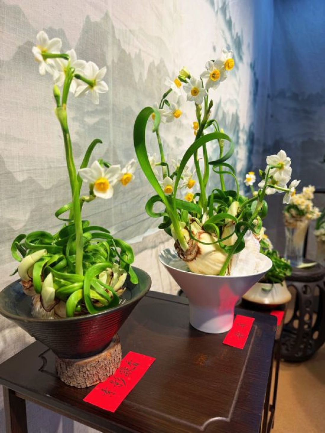 种球还在