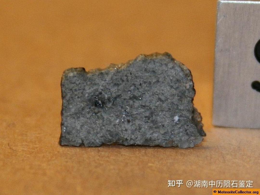 伪
