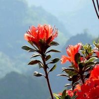 氨基丁酸怎么选：按单份毫克数和包装算性价比
