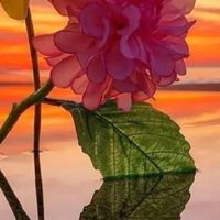 看益生菌别只认编号那三个字：菌株名与添加量口径